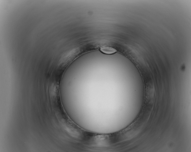 X0000090740126200707271432