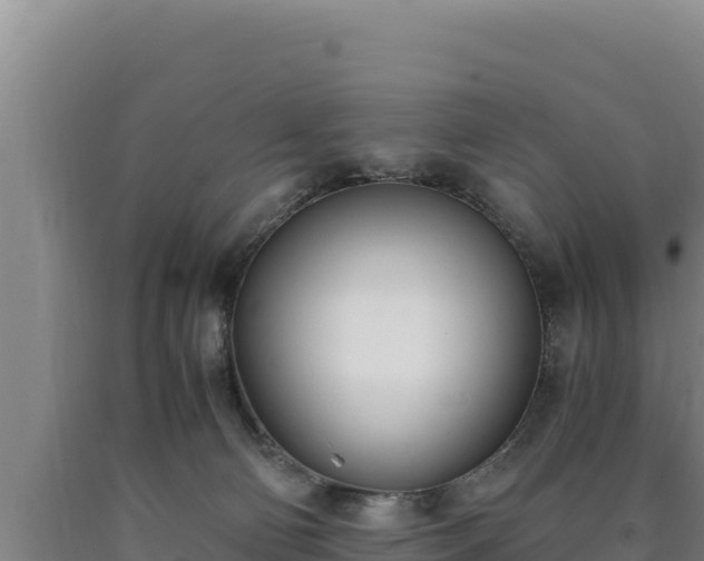 X0000090740130200707271432