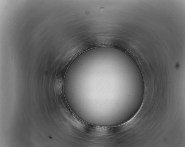 X0000090740144200707271432