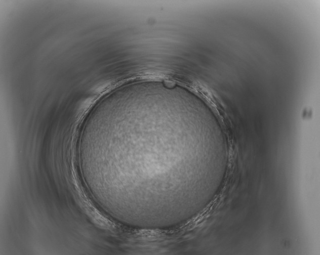 X0000090740145200707271431