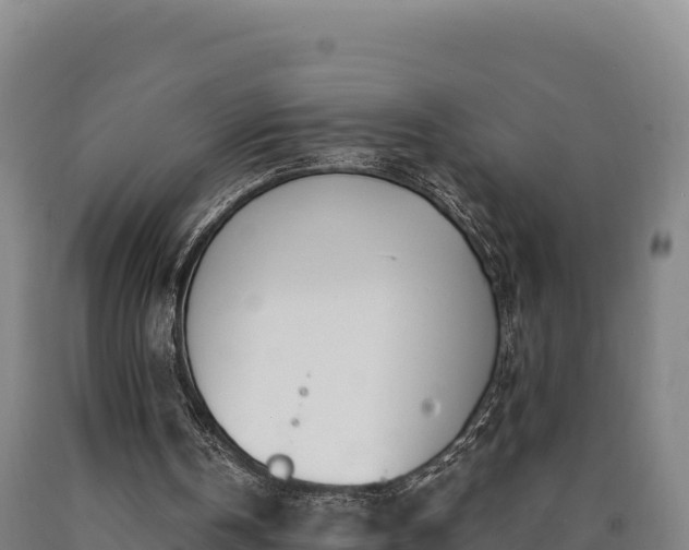 X0000090740146200707271431