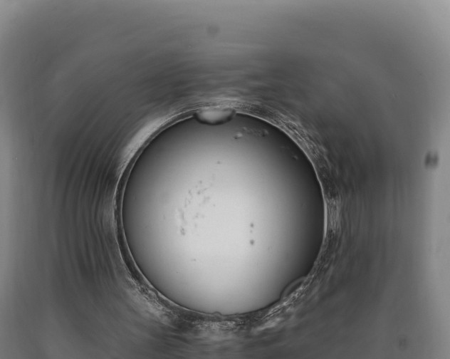 X0000090740147200707271431