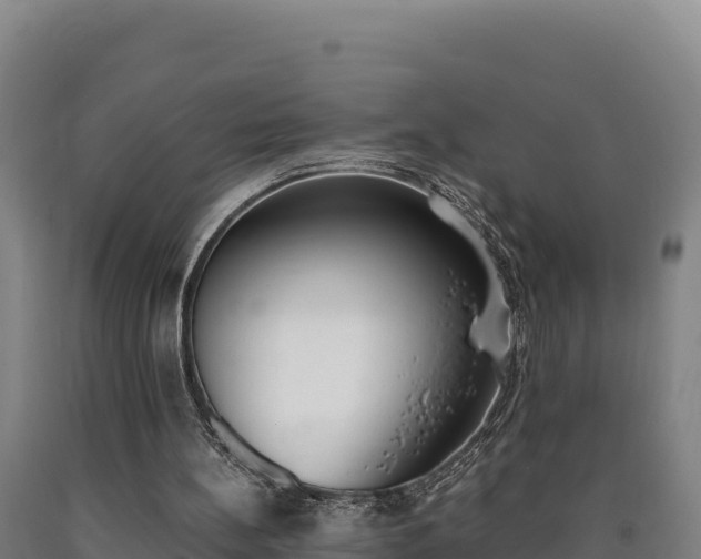 X0000090740148200707271431