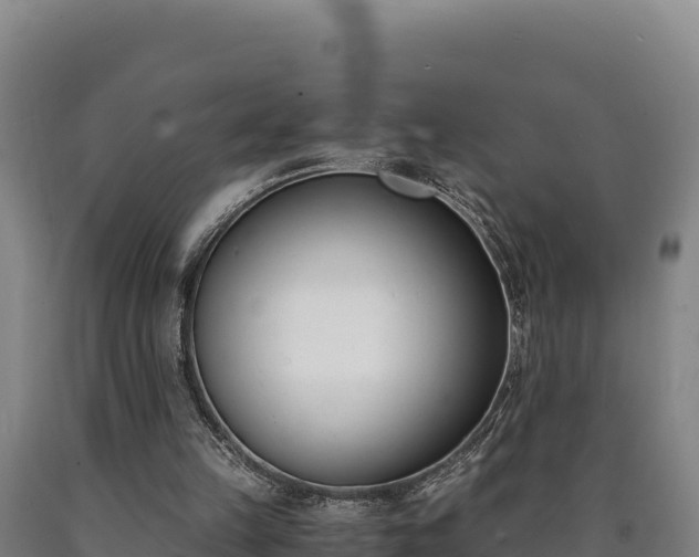 X0000090740149200707271431