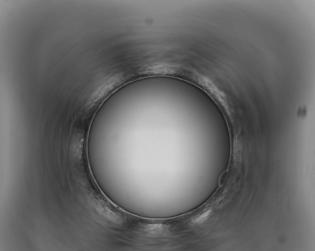 X0000090740153200707271431