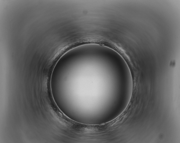 X0000090740154200707271431