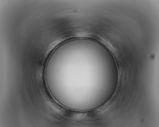 X0000090740155200707271431