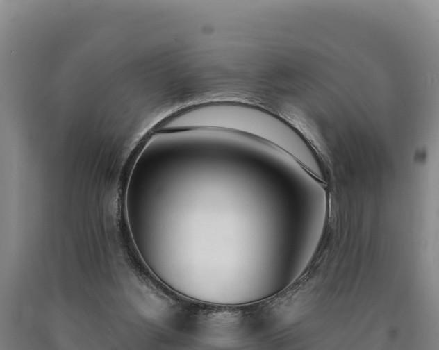 X0000090740156200707271431