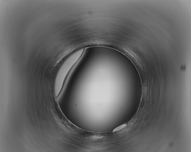 X0000090740158200707271431