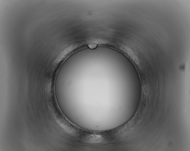 X0000090740159200707271431