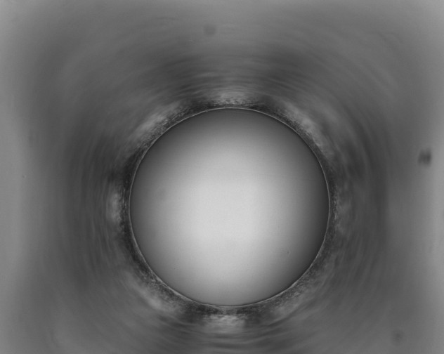 X0000090740161200707271431