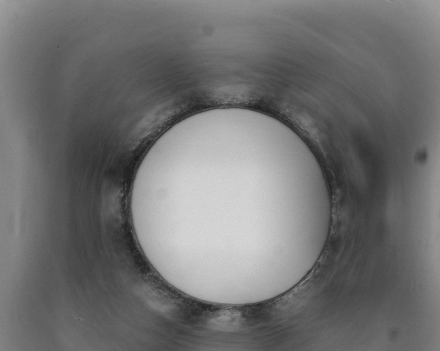 X0000090740162200707271431