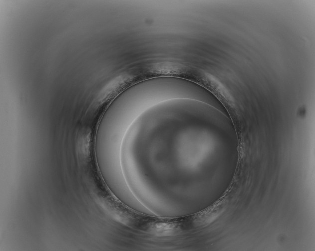 X0000090740163200707271431