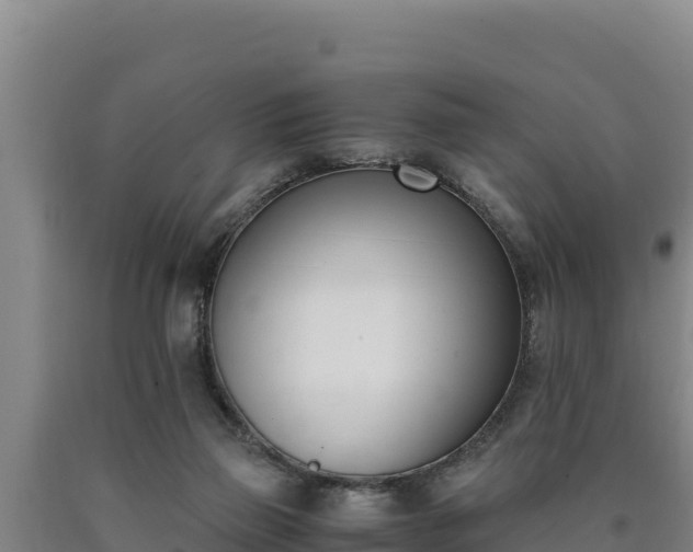 X0000090740165200707271431