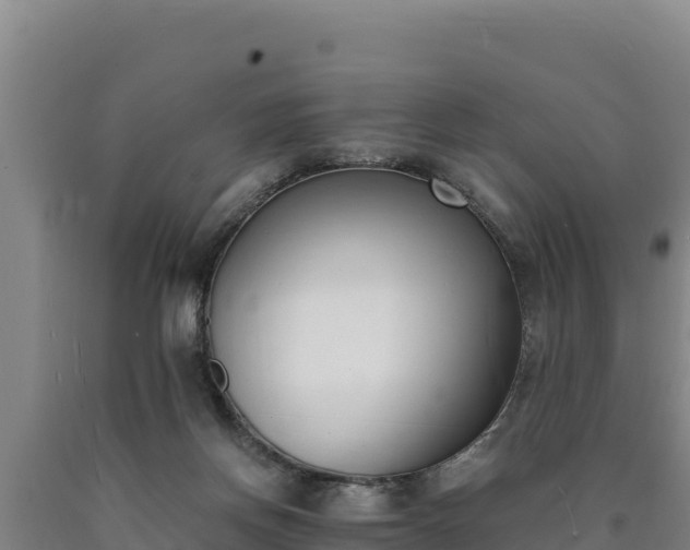 X0000090740166200707271431