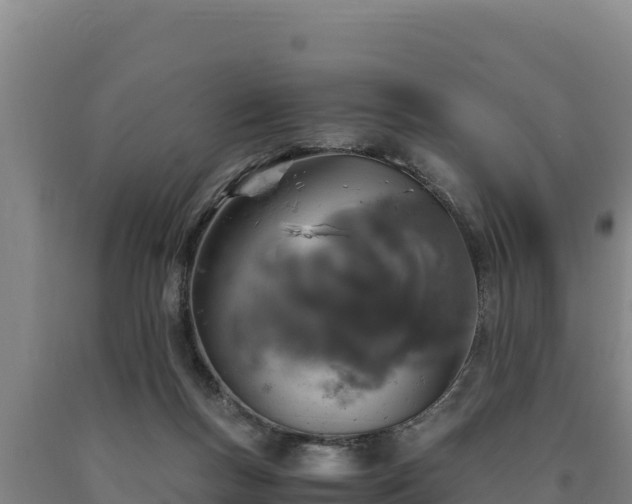 X0000090740167200707271431