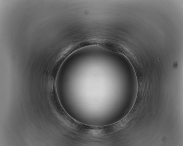 X0000090740168200707271431