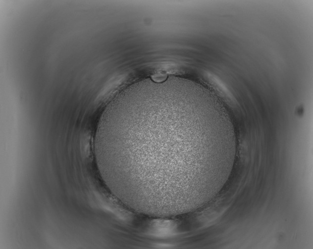 X0000090740169200707271431