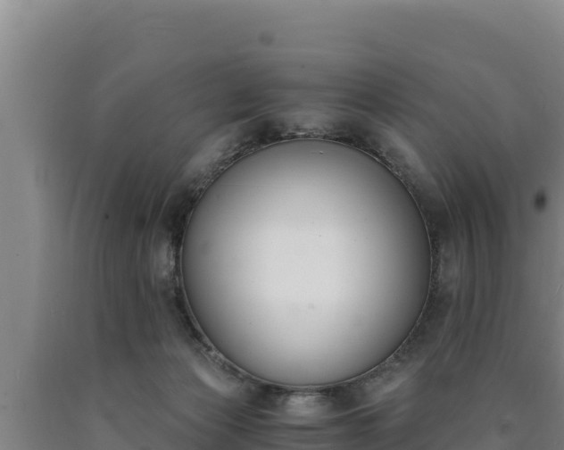 X0000090740173200707271431