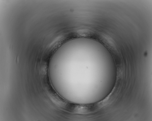 X0000090740174200707271431