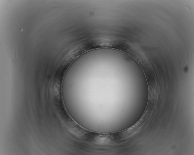 X0000090740175200707271431