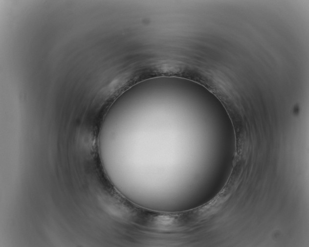 X0000090740176200707271431