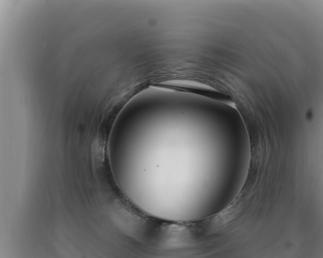 X0000090740180200707271431