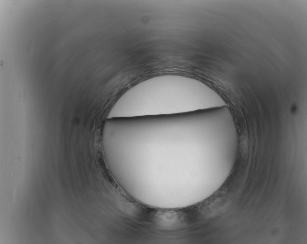 X0000090740181200707271431