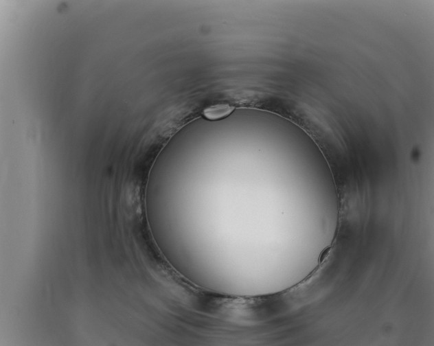 X0000090740182200707271431