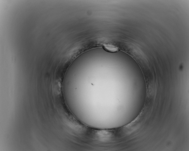 X0000090740183200707271431