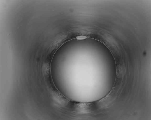 X0000090740184200707271431