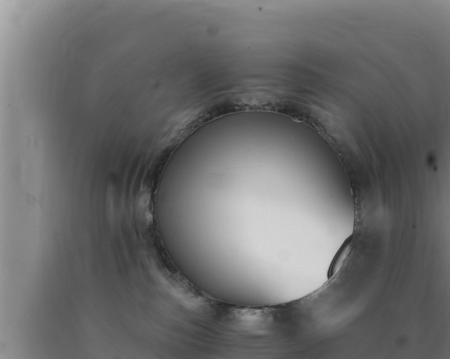 X0000090740187200707271432