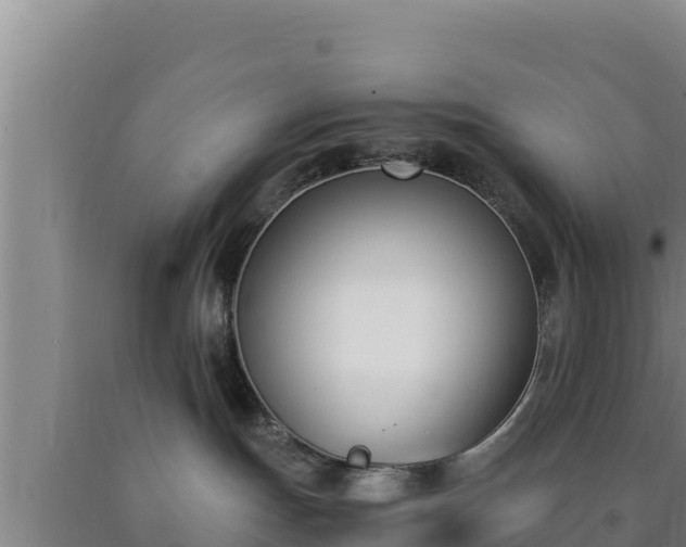 X0000090740191200707271432