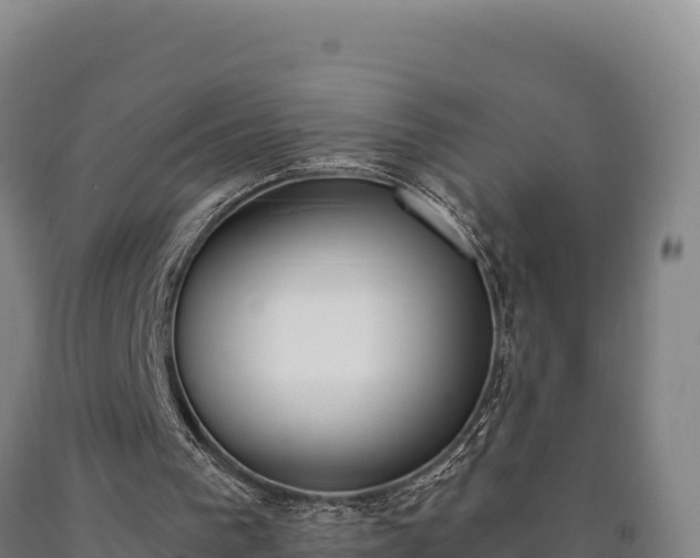 X0000090740193200707271431