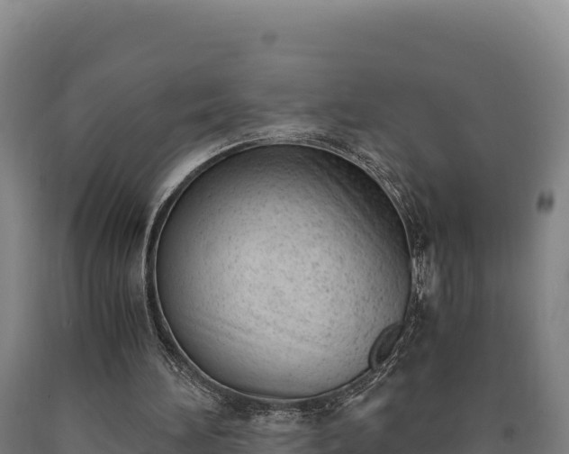 X0000090740196200707271431