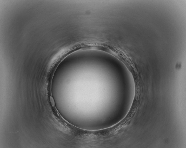 X0000090740197200707271431