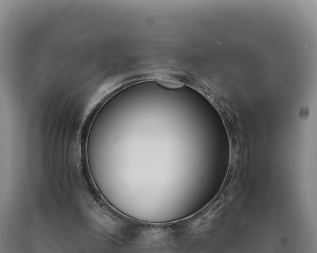 X0000090740198200707271431