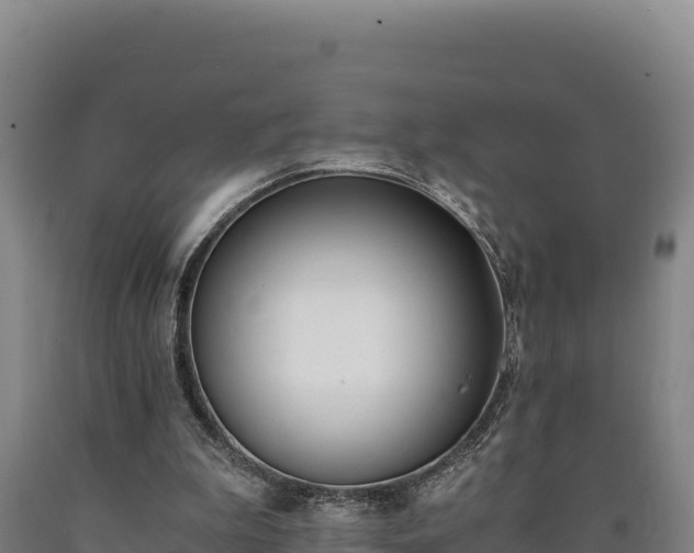 X0000090740199200707271431