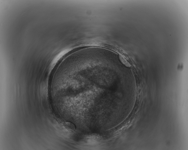 X0000090740200200707271431