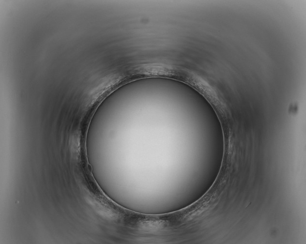 X0000090740202200707271431