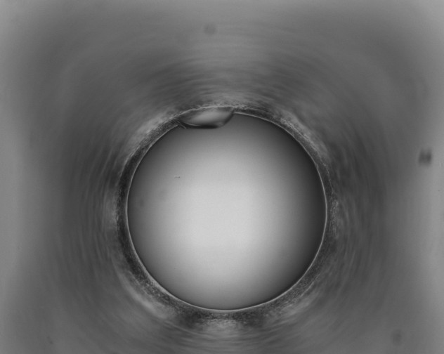 X0000090740203200707271431