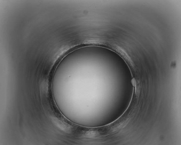 X0000090740204200707271431