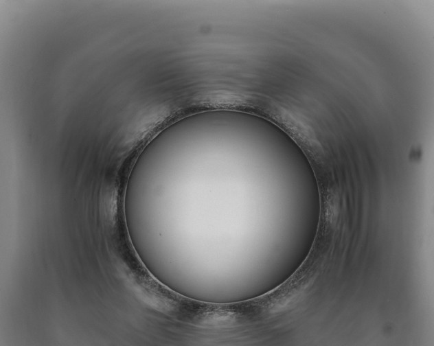 X0000090740206200707271431