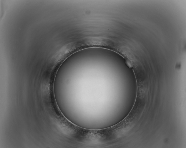 X0000090740207200707271431