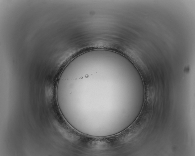 X0000090740208200707271431