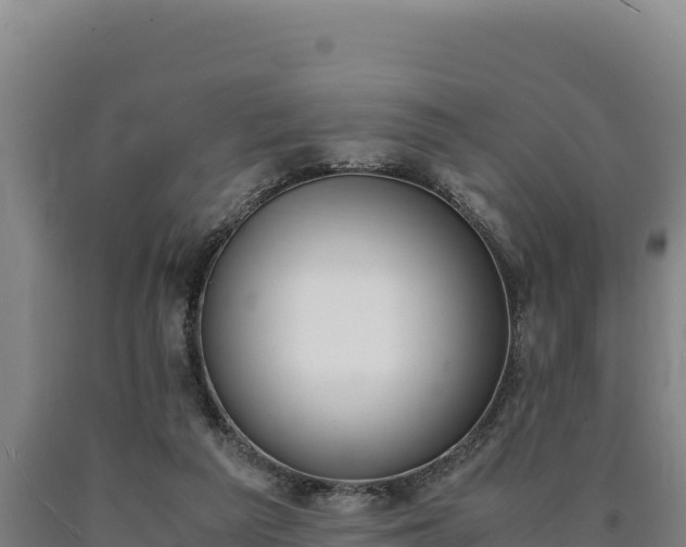 X0000090740209200707271431