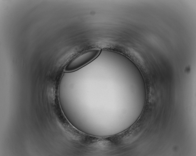 X0000090740210200707271431