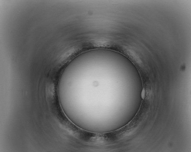 X0000090740211200707271431