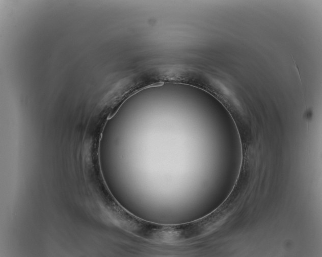 X0000090740217200707271431