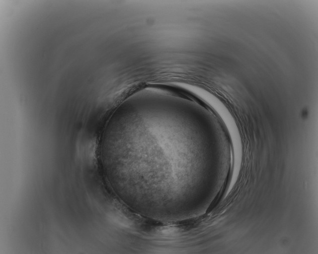 X0000090740219200707271431